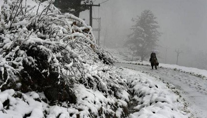Higher reaches of Jammu and Kashmir, Ladakh receive snowfall