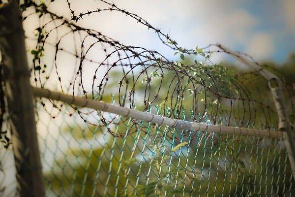 Pak violates ceasefire along International Border in JK''s Kathua