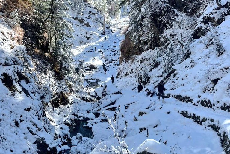 One Terrorist Killed In Army, Police’s Joint Operation In J&K’s Kishtwar