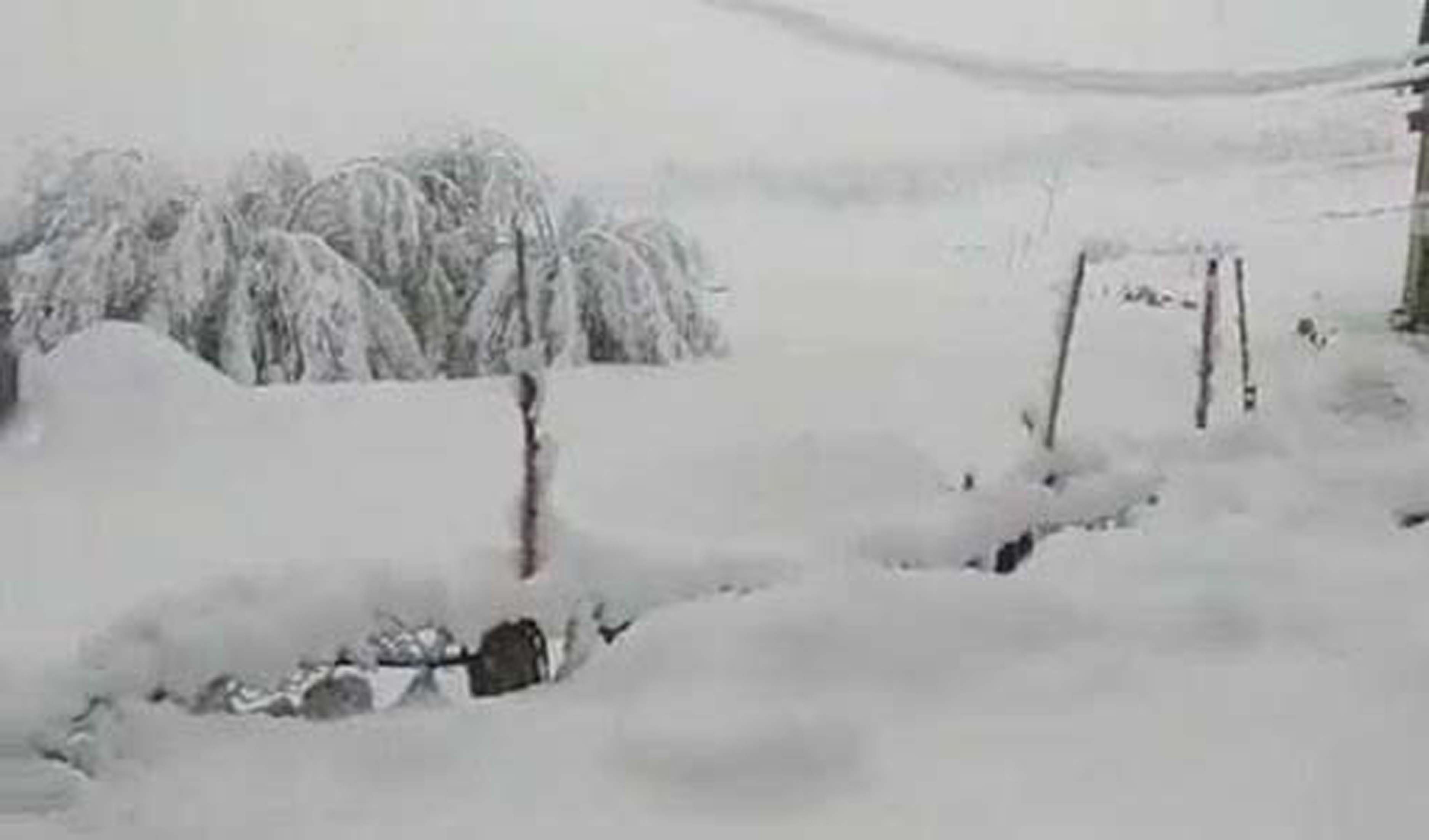 Drass in Kargil freezes at minus 10.4