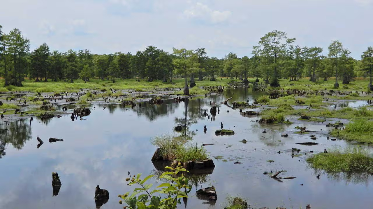 Mapping, Demarcation Of J&K Wetlands To Be Completed By March End