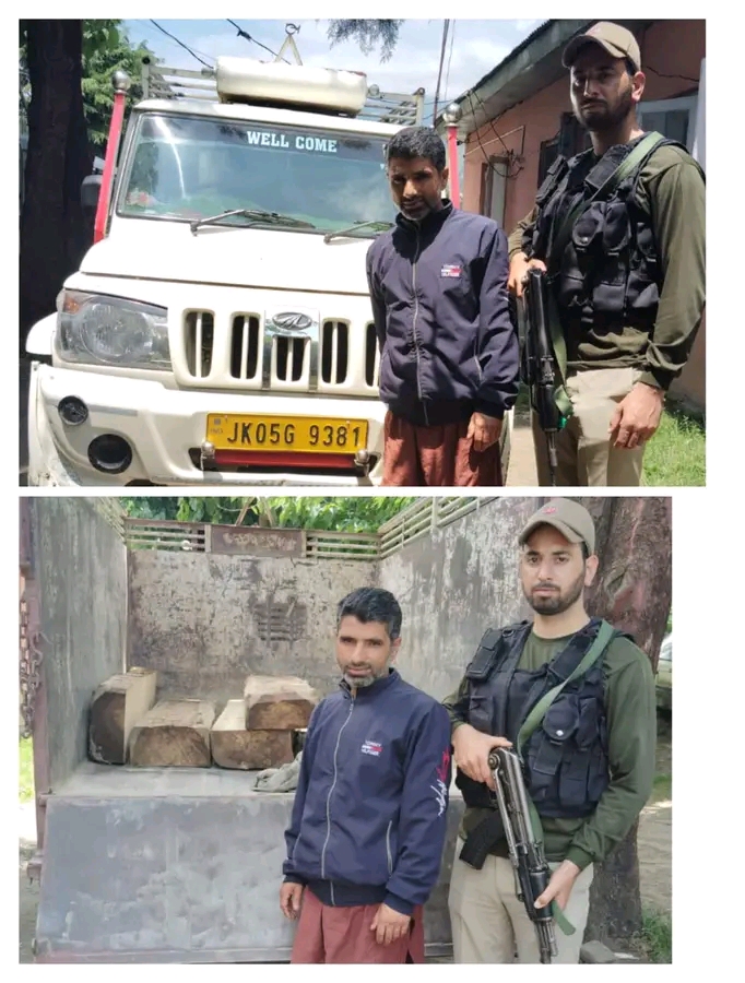 Police recovers illicit timber in Baramulla; accused arrested