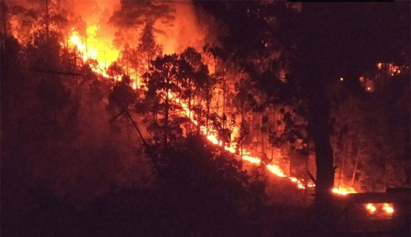 J&K | Fire Breaks Out In Mendhar Forests Along LoCJ&K | Fire Breaks Out In Mendhar Forests Along LoC