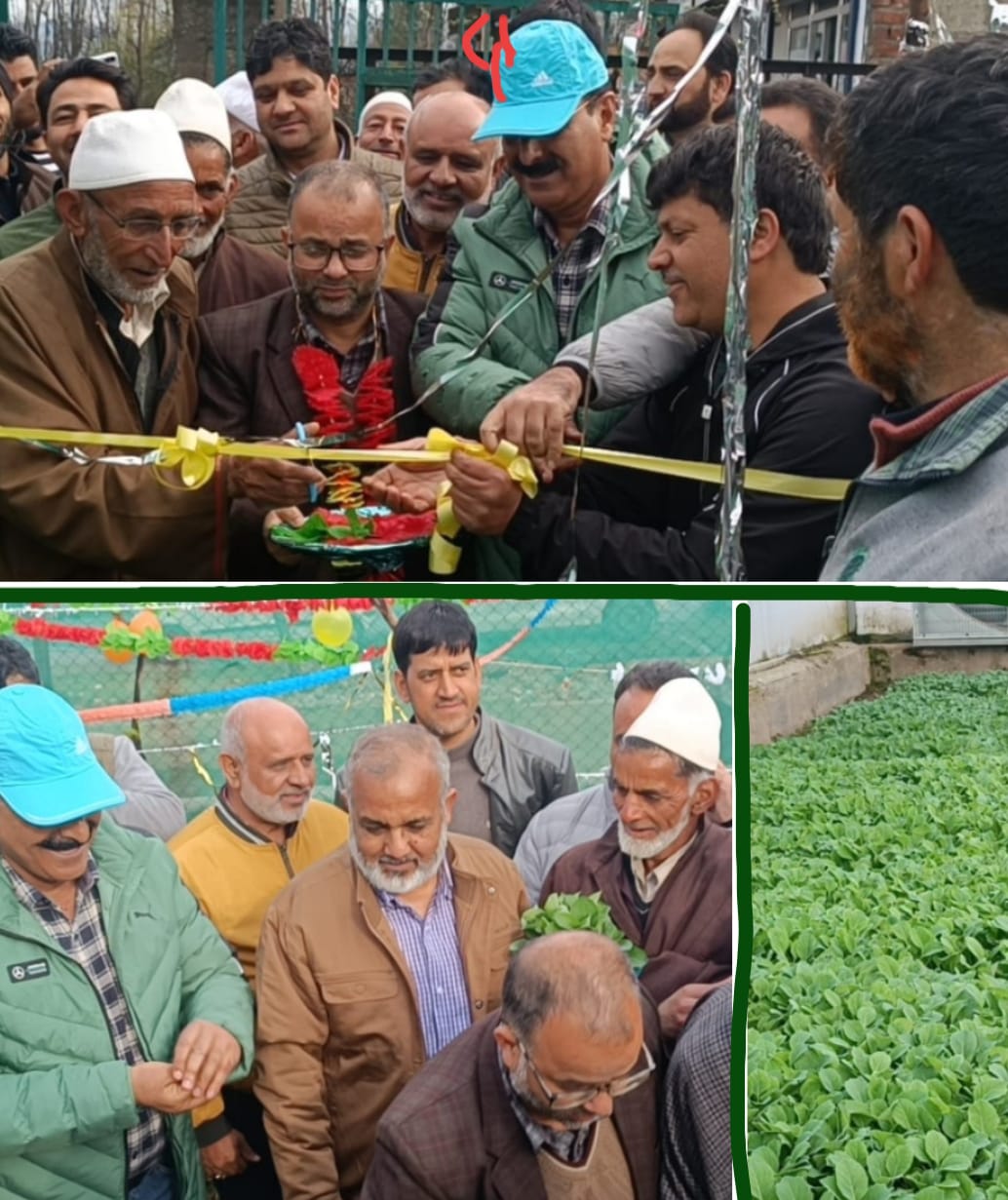 Director Agriculture Kashmir inaugurates distribution of vegetable/ exotic vegetable seedlings at Kulgam